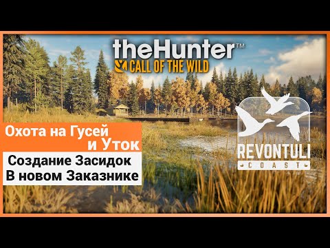 Видео: Охота на Гусей и Уток в Revontuli Coast  - theHunter: Call of the Wild