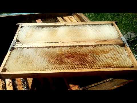 Видео: Инновационная рамка для магазина и гнезда. Хорошее старое забываем по новому