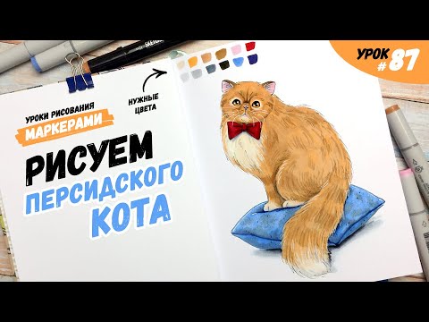 Видео: Как нарисовать рыжего персидского кота? / Видео-урок по рисованию маркерами #87