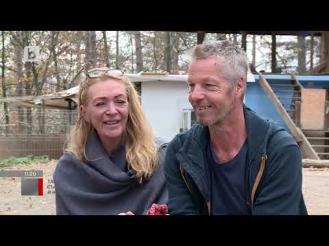 Видео: Тази събота и неделя: Защо двама англичани превърнаха стар ресторант в приют за близо 400 кучета?