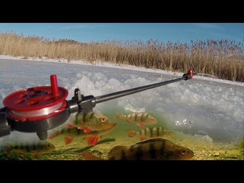 Видео: ВСЕМ РЫБАКАМ ПОЖЕЛАЮ ТАКОЙ КЛЕВ РЫБЫ!!ЗИМНЯЯ РЫБАЛКА 2022.