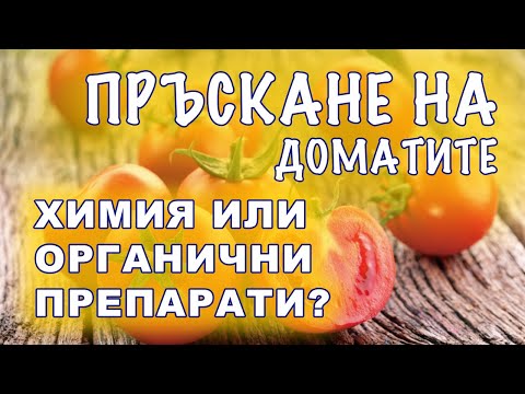 Видео: Пръскане на доматите срещу болести и вредители. Органични или химически препарати?