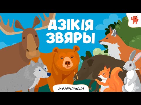 Видео: ДЗІКІЯ ЗВЯРЫ | Бэйбус_малянятам