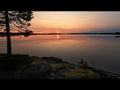 Видео: Сплав по реке Воньга. От Амбарного до Куземы во второй половине августа 2024г. Часть 3.