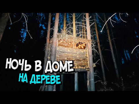 Видео: ПРОВЁЛ НОЧЬ В ДОМЕ НА ДЕРЕВЕ С ПЁСЕЛЕМ. КОСТЁР В ЯМЕ. ЛЕСНАЯ КУХНЯ.