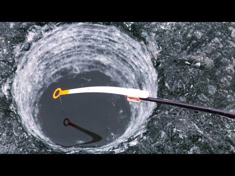 Видео: ДУМАЛ ЛЕЩ, А ОНО... НАШЛИ ЛУНКИ С РЫБОЙ! Зимняя рыбалка на кивок