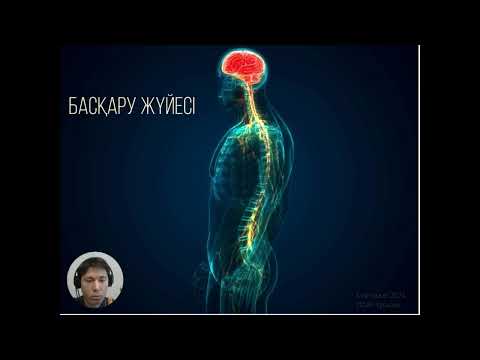 Видео: Басқару жүйесі  1 бөлім