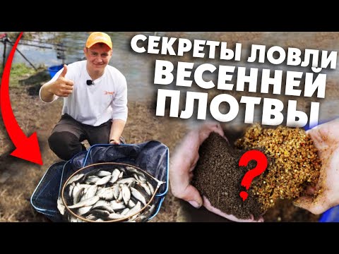 Видео: Ловля ПЛОТВЫ весной! Советы, тактика и СЕКРЕТЫ от Алексея Пугача!