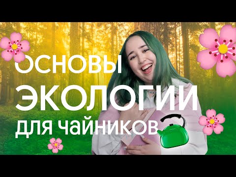 Видео: 🌺 ОСНОВЫ ЭКОЛОГИИ: ВСЁ, ЧТО НУЖНО ЗНАТЬ ДЛЯ НАЧАЛА