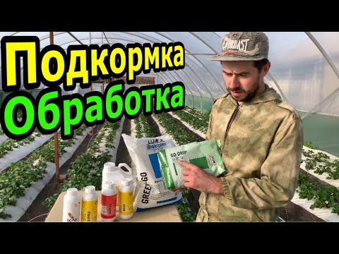 Видео: Подкормка Клубники! Обработки от Болезней и Вредителей