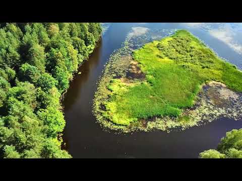 Видео: Озёра Лиозненского района Витебской области