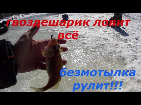 Видео: Рыбалка на безмотылку, пять видов рыб. Сезон закрыт.