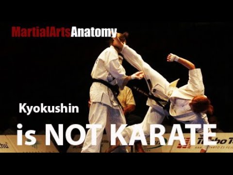 Видео: Киокушин - НЕ КАРАТЭ