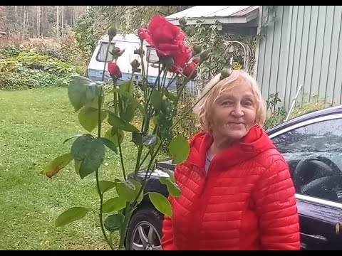 Видео: Uusi - Вяртсильский Версаль