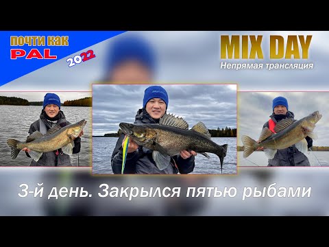 Видео: Закрылся пятью рыбами 😁 Рыбалка в Финляндии. Panoptix LiveScope