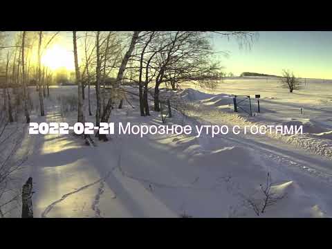 Видео: 2024-02-21 Морозное солнечное утро и лесные гости