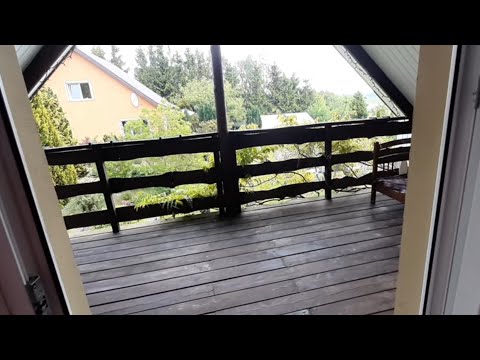 Видео: Калининград. Грачевка. Наш домик с глицинией. Куры, гуси, кони.