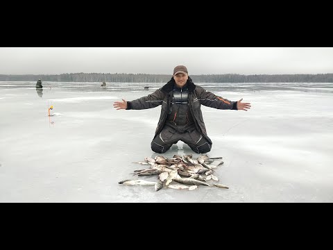 Видео: ЯУЗСКОЕ ВОДОХРАНИЛИЩЕ, Савино. НЕ БЫЛ ТУТ ЛЕТ 7 ))