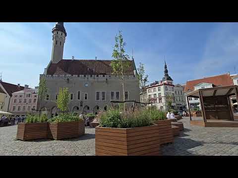 Видео: Таллинн август 2025. Несколько дней в любимом городе. #240 