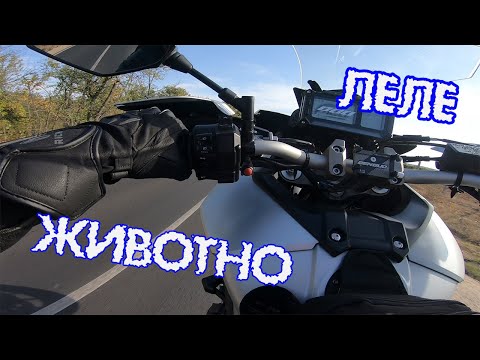 Видео: ТЕСТ НА МОТОРА СЛЕД ТУНИНГА/БРУТАЛНА РАЗЛИКА/ХИСАРЯ
