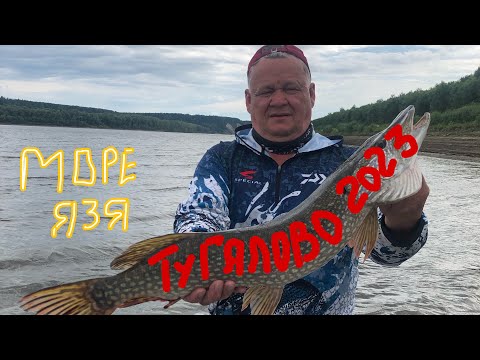 Видео: Иртыш. Тугалово 2023