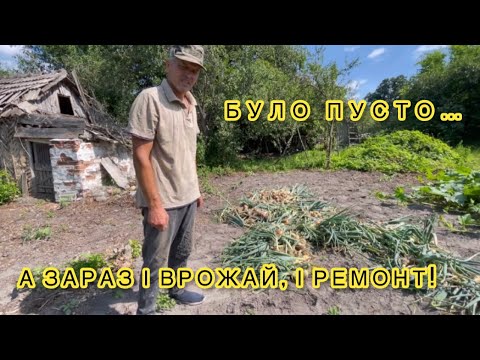 Видео: Зібрали перший урожай — не повірите, що виросло!