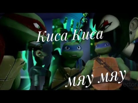 Видео: КисаКиса(Лео и Карай)