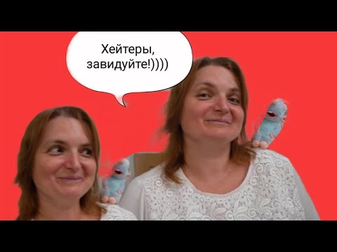 Видео: СКОЛЬКО РАДОСТИ У ТЁТКИ ! VREDINA LIFE. ОБЗОР. 