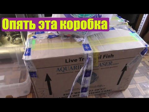 Видео: Праздничная распаковка