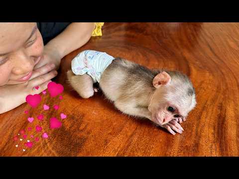Видео: Обезьянка Каки так счастлива иметь любящую маму!!!