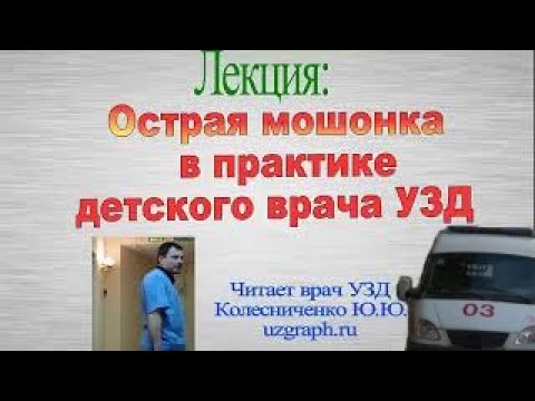 Видео: Лекция: Острая мошонка в практике детского врача ультразвуковой диагностики (УЗД)