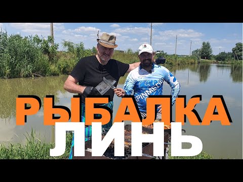 Видео: РЫБАЛКА И ПРИГОТОВЛЕНИЕ ЛИНЯ НА МАНГАЛЕ В АДЫГЕЕ. ОВОЩНОЕ РАГУ. РЕЦЕПТЫ СЮФ.