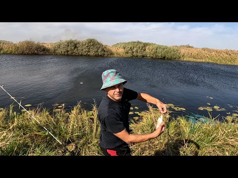Видео: ИШИМ В СЕНТЯБРЕ, красивые места с изобилием рыбы  #андрей_целиноград #рыбалка #разведение_червей