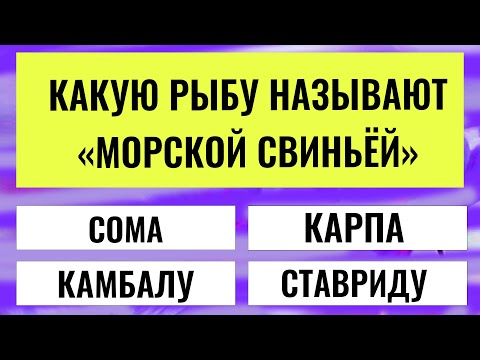 Видео: 99% зрителей не отвечают правильно. Интересные тесты на эрудицию #тестнаэрудицию #тесты #эрудиция