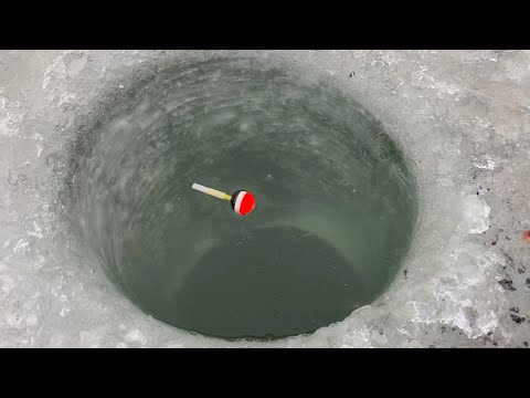 Видео: ВЛУПИЛО ПОПЛАВОК В ЛУНКЕ...КРУПНЯК НА ТЕЧЕНИИ! Удочка ЧУПА-ЧУПС удивила. Зимняя рыбалка 2024