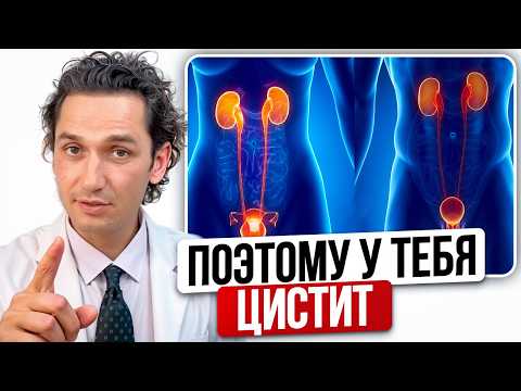 Видео: Вся правда про ЦИСТИТ: симптомы, лечение, питание, риски