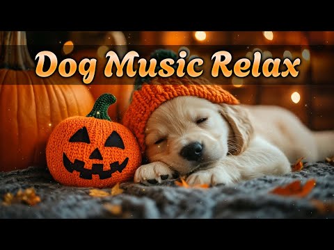 Видео: Спокойная музыка для собак 🐶 Помогает успокоиться при шуме, тревоге и одиночестве 🎵