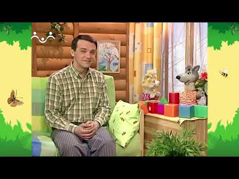 Видео: День в Шишкином Лесу. Профессии. Строитель