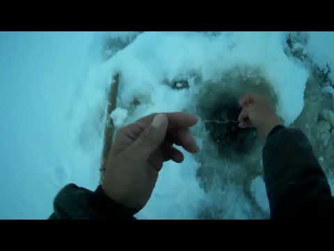 Видео: Проверка крючков на налима 30 10 2023