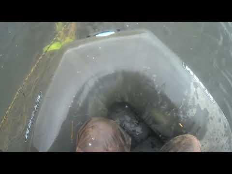 Видео: Рыбалка сетями на день победы