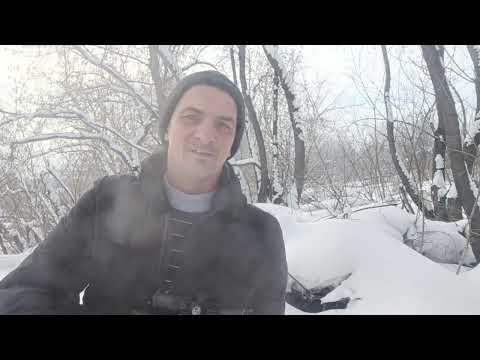 Видео: Начинающий лучник 2. Арбалет