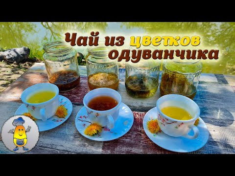 Видео: Ферментация цветков одуванчика - пошаговый процесс сбраживания одуванчиков для чая