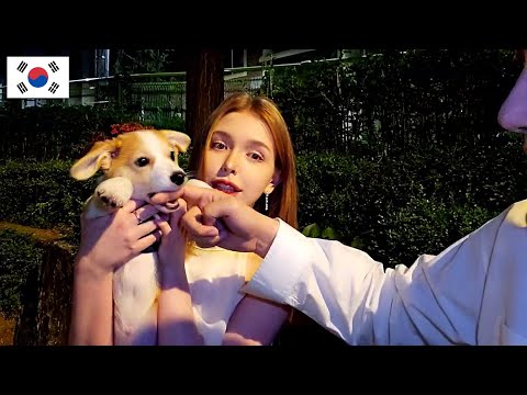 Видео: Хочешь пойти со мной на прогулку с собакой?