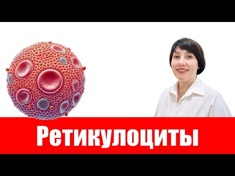 Видео: Ретикулоциты. Норма и патология.