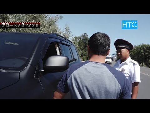 Видео: TV Kaiguul 202 / Терезелерин "ТОНИРОВКА" кылган АЙДООЧУЛАР / НТС