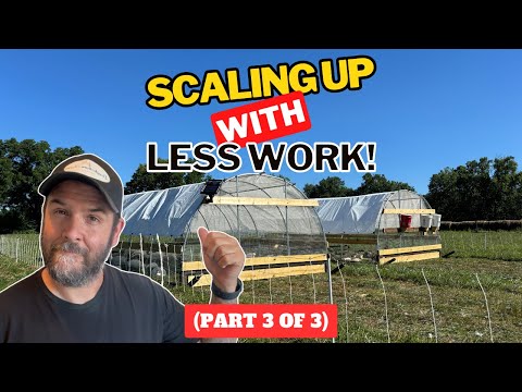 Видео: Финал: наше путешествие по мобильному курятнику (часть 3)