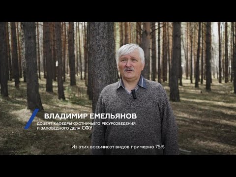 Видео: Разговор с ученым: куда улетают птицы зимой?
