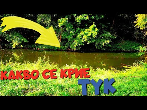 Видео: ДИВО МЕСТЕНЦЕ!!! СИЛЕН ВЯТЪР и РИБОЛОВ на ЖИТО.