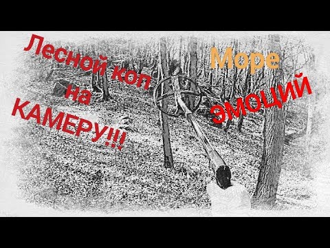 Видео: Неудача переменчива!!! Трудовой коп в лесу.