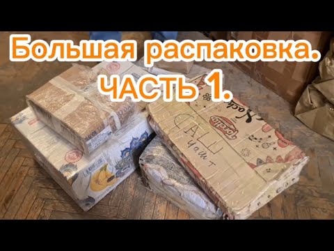 Видео: Большая распаковка! Мартовское поступление пчаков! ЧАСТЬ 1. Продолжение следует .... - p4aki.ru